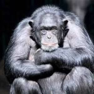 Meet your Posher, Terrell